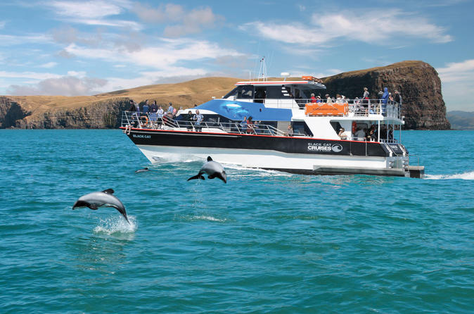 Akaroa Cruises, Sailing & Water Tours