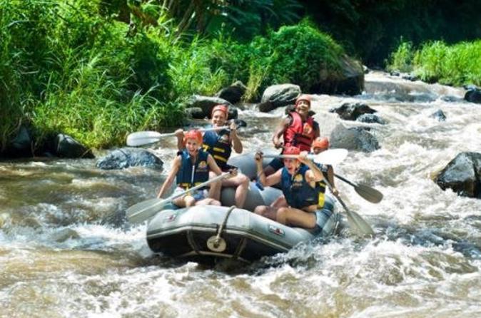 Elephant safari park and white water rafting adventure in bali 127979