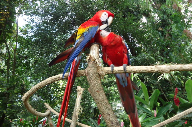 Auto Safari Chapin from Puerto Quetzal Guatemala