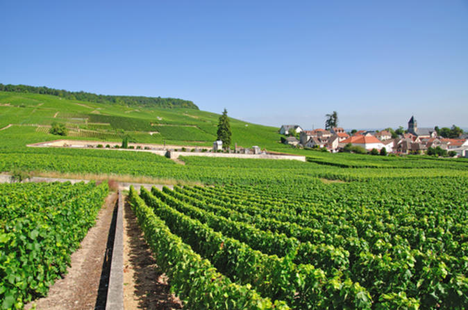 Tour per piccoli gruppi con degustazione di vini nella regione di Champagne da Parigi