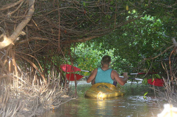 Sunset Kayaking At Mangrove Lagoon From Merida