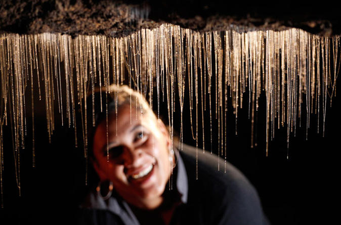 Excursão só de ida de Rotorua para Auckland pelas Cavernas de Vagalumes de Waitomo