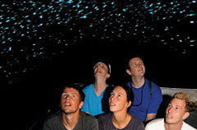 Waitomo Glowworm Caves Discovery Tour from Rotorua