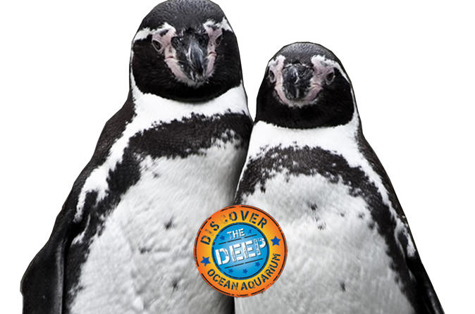 Ocean Aquarium Park Protaras Ticket only