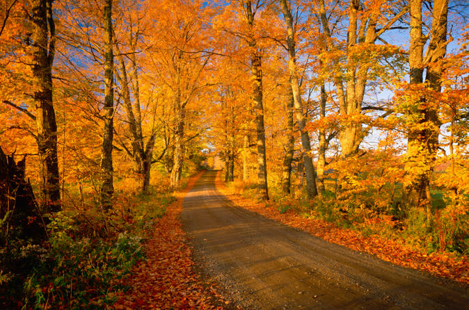 Fall foliage sightseeing tour from boston in boston 140430