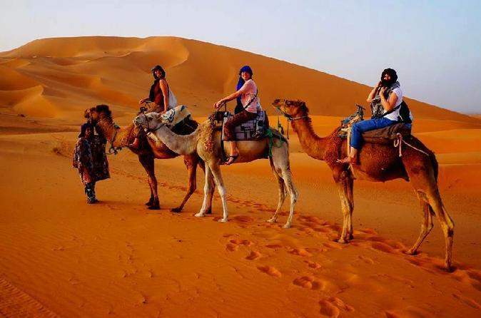 4-Day Small-Group Tour from Marrakech to Fez via the Desert