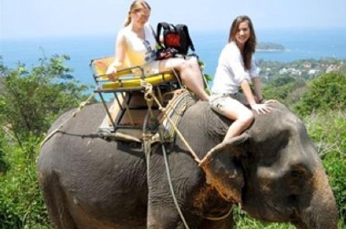 ONE DAY ELEPHANT AND SKYLINE ADVENTURE PHUKET