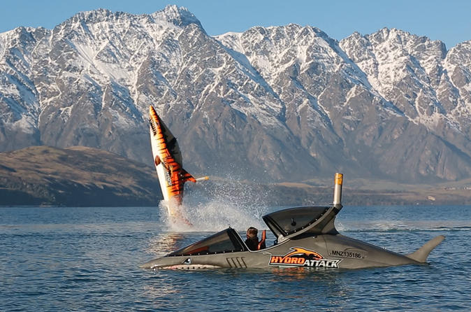 cuoi ca heo robot o queenstown