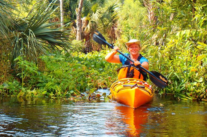Wekiva River Kayak Tour