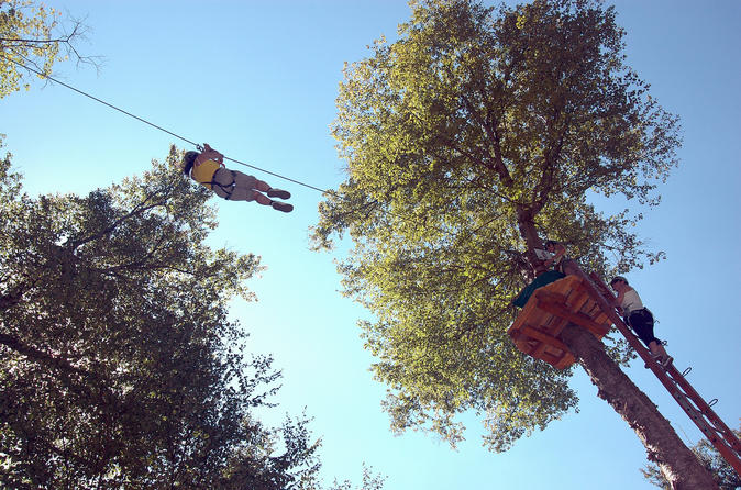 2 Hour Ziplines and Tree Course Adventure from Mont-Tremblant