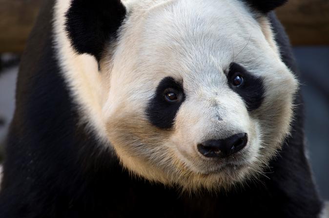 Zoo Atlanta Admission