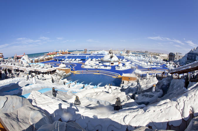 Full-Day Entrance Tickets to Ice Land Water Park in Ras Al Khaimah