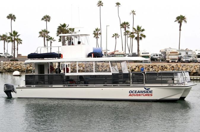 Two-Hour Whale Watching Tours from Oceanside - 12pm Departure
