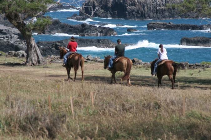 Maui Horseback Riding Tour 2019 See More 3