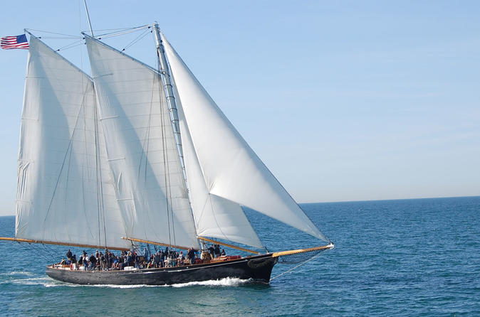 Dolphin Watching Tours San Diego Dolphin Watching Tours San Diego