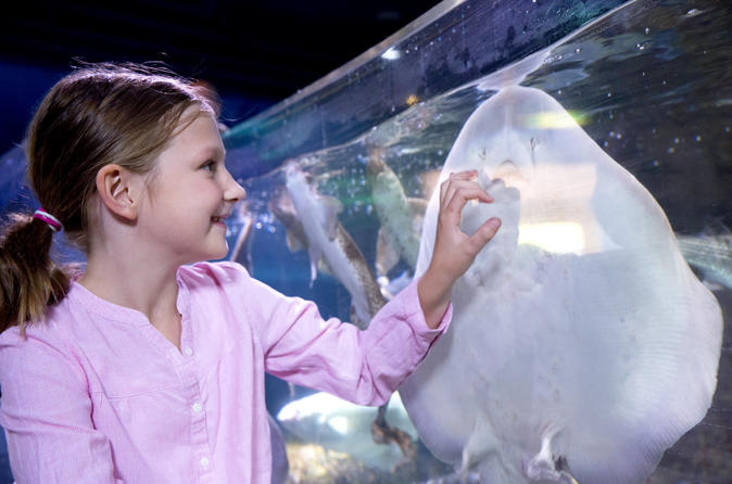 Aquarium SEA LIFE Arizona