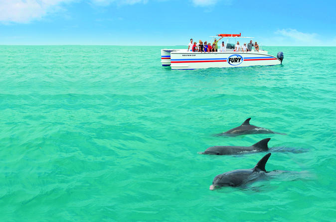 Cruzeiro de Observação de Golfinhos e Mergulho com Snorkel em Key West