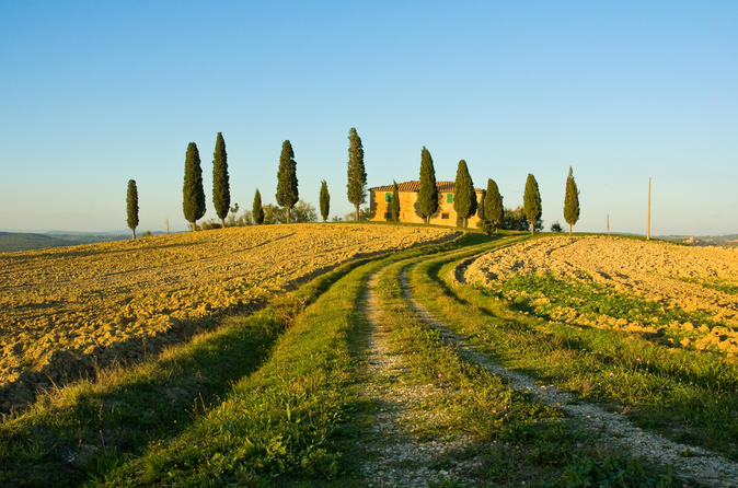 Ausflug nach Livorno: private Weintour nach Chianti und in die Toskana