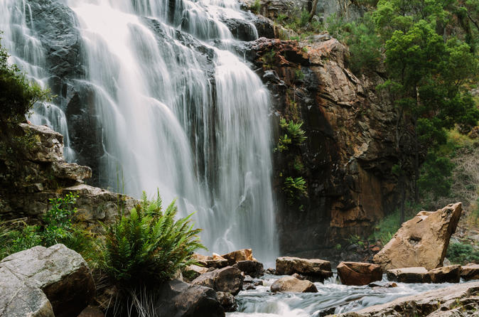 Excursion de 3 jours sur la Great Ocean Road et aux Grampians au départ de Melbourne
