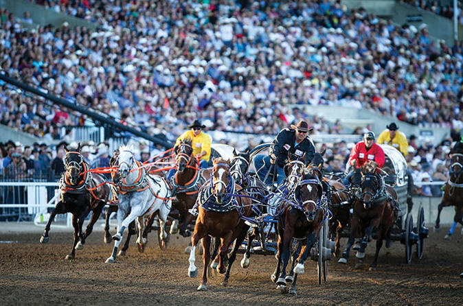 Le Stampede de Calgary
