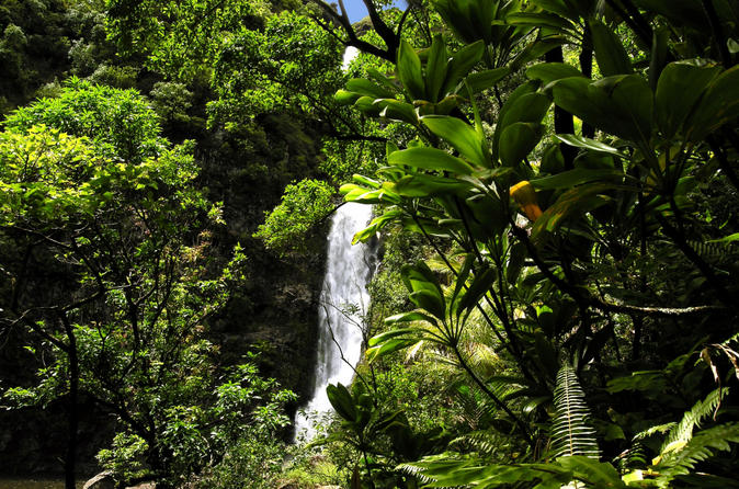 Small-Group Luxury Day Trip to Haleakala National Park and Hana Coast Rainforest