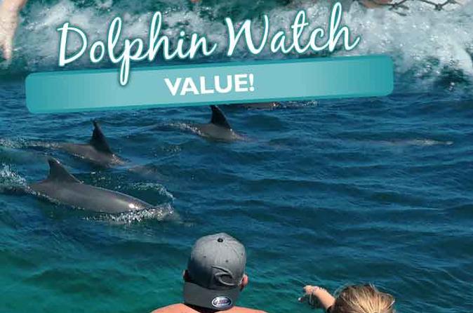Guided Port Stephens Morning Dolphin Watch Cruise