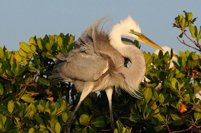 Everglades National Park Expedition