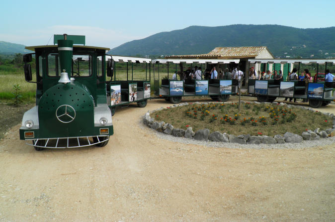 Vins de la vallée de Konavle à partir de Dubrovnik avec trajet en train