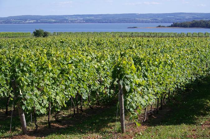 Halifax, Wine Tasting & Winery Tours