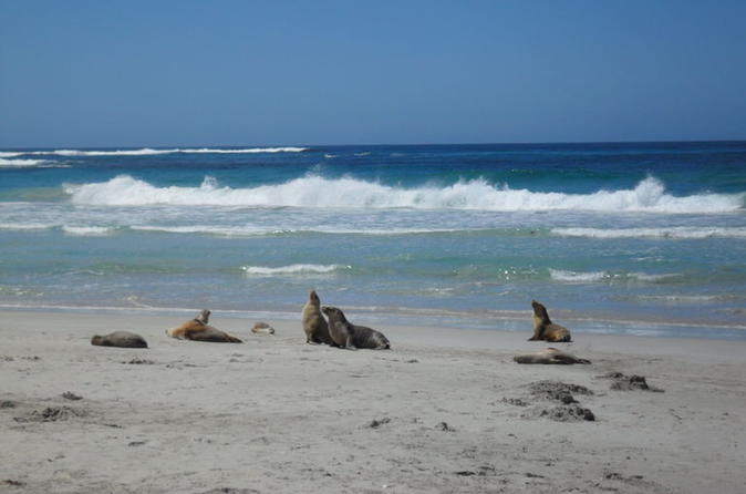 Tour giornaliero di Kangaroo Island da Adelaide