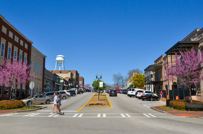 Big Zombie Walking Dead Tour in Senoia - 11am Tour