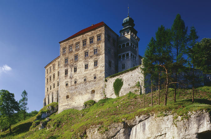 Private Tour: Polish Castles Day Trip from Krakow