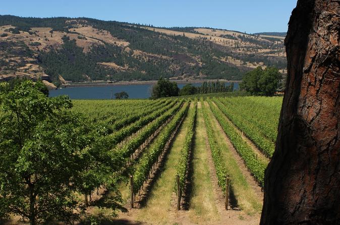 Full Day Columbia River Gorge Waterfalls and Wine Tasting Combo
