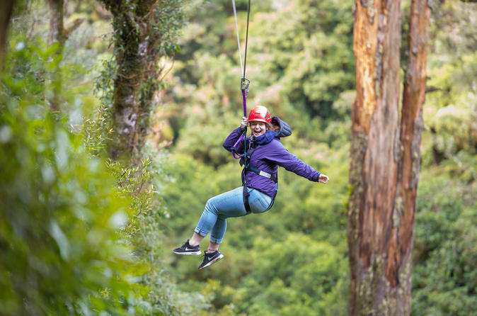 Aventure en tyrolienne dans la canopée de la forêt de Rotorua