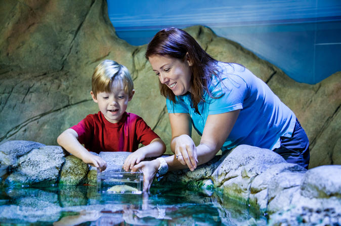 SEA LIFE Bray Entrance Ticket