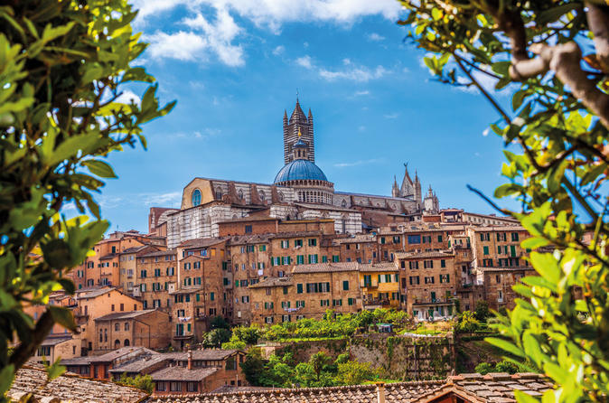 Full day to San Gimignano, Siena and Chianti with lunch and wine tasting - EN/ES + guided tour Siena