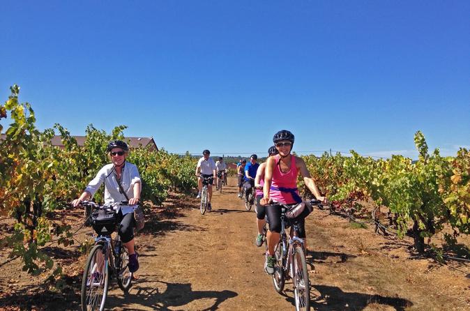 Healdsburg Half-Day Cycling Wine Tour from Windsor