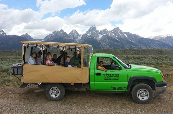 Grand Teton Small-Group Wildlife Safari by Jeep