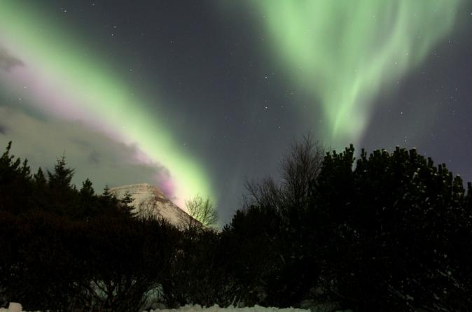 Northern Lights Tour in Icleand