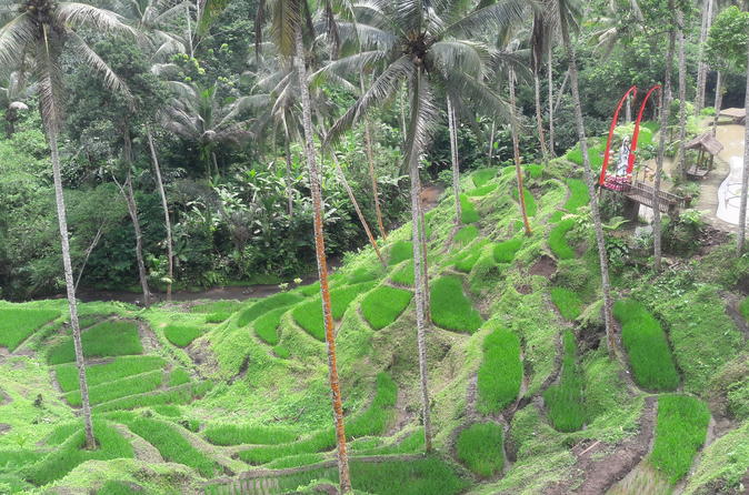 White Water Rafting And Bali Swing Terrace River Side Adventure - Ubud