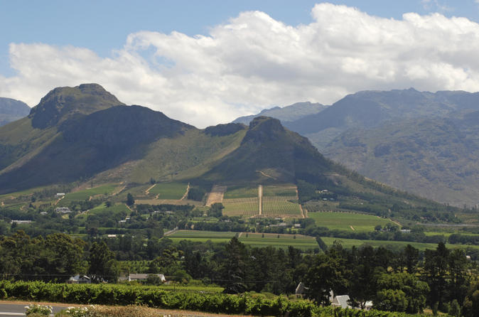 Private Tour: Western Cape And Swartland Wine Route Day Trip From Cape ...