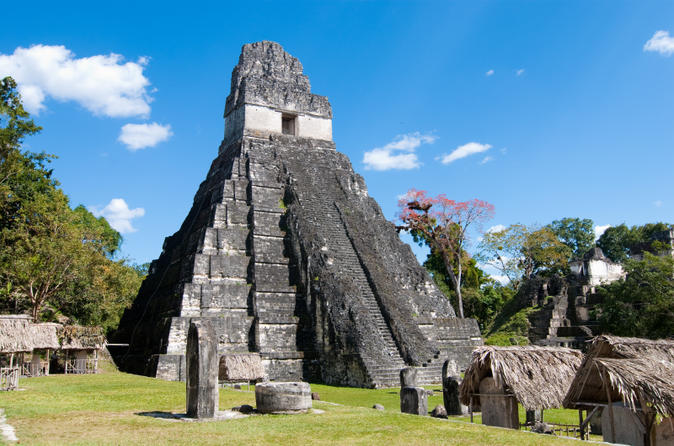 tikal-day-trip-from-san-ignacio-in-san-ignacio-147718