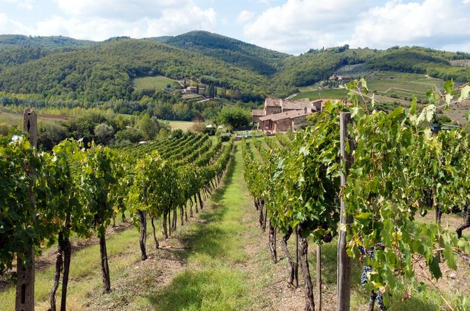 CHIANTI TOUR WITH A VISIT OF AN ORGANIC CELLAR AND A SPECIAL WINE TASTING