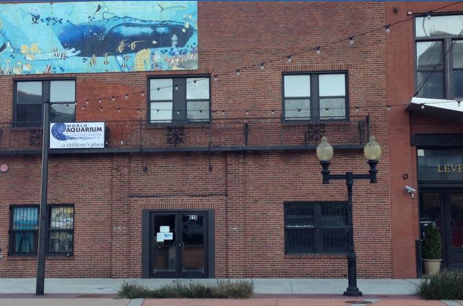 General Admission to World Aquarium in Saint Louis