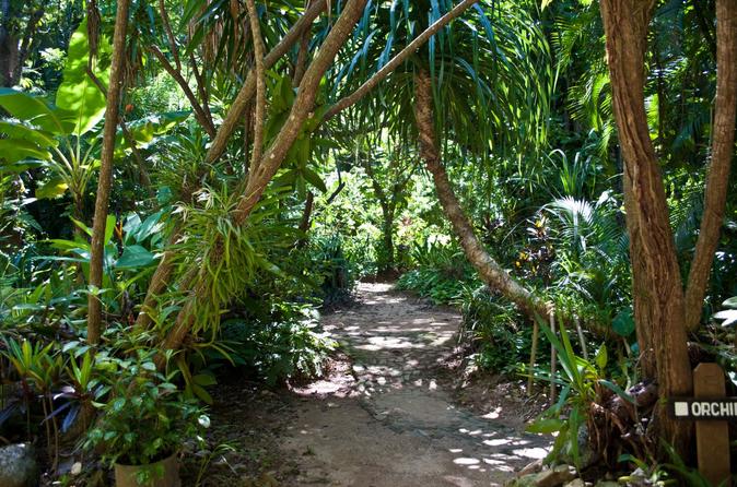 Roatan Hiking Adventure with Butterfly Garden and Beach