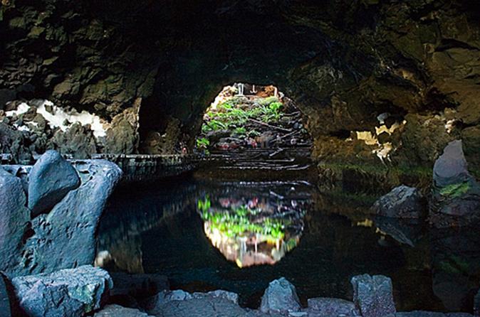 Northen Lanzarote César Manrique Tour