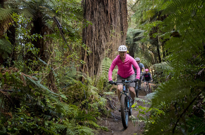 Rotorua Walking & Biking Tours