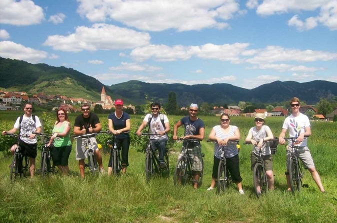 Tour della valle vinicola di Wachau per piccoli gruppi in bicicletta con partenza da Vienna