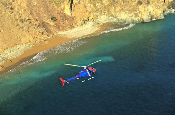 Coastal Sights Helicopter Tour from Long Beach