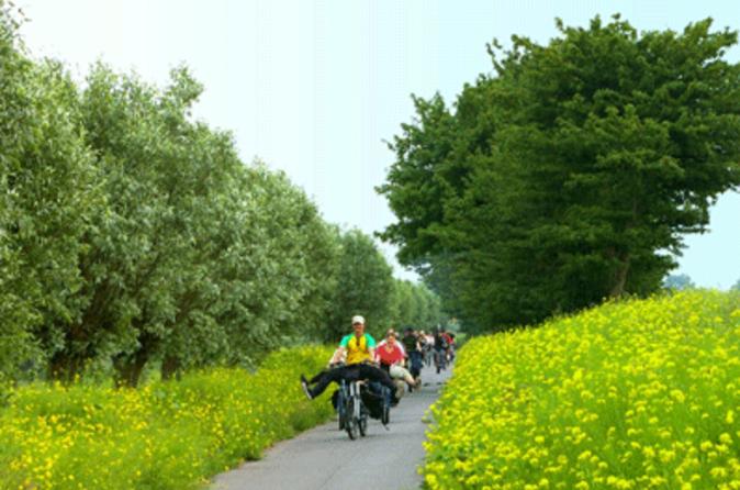 Excursão de bicicleta pela zona rural de Amsterdã, incluindo degustação de queijo e demonstração de tamancos
